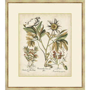 FG4066P04 Giclée on Matte Paper, under Glass, framed in Frame#1560-55 (Traditional Antique Ivory & Gold)
Top Mat: Ivory
Bottom Mat: Felt Gray Finished Size: W 31.00 in x H 35.00 in