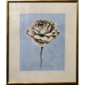 FG4092P01 Giclée on Matte Paper, under Glass, framed in a Contemporary Silver Frame #10105. This frame has a black 2.125in profile. Finished Size: W 19.50 in x H 23.50 in