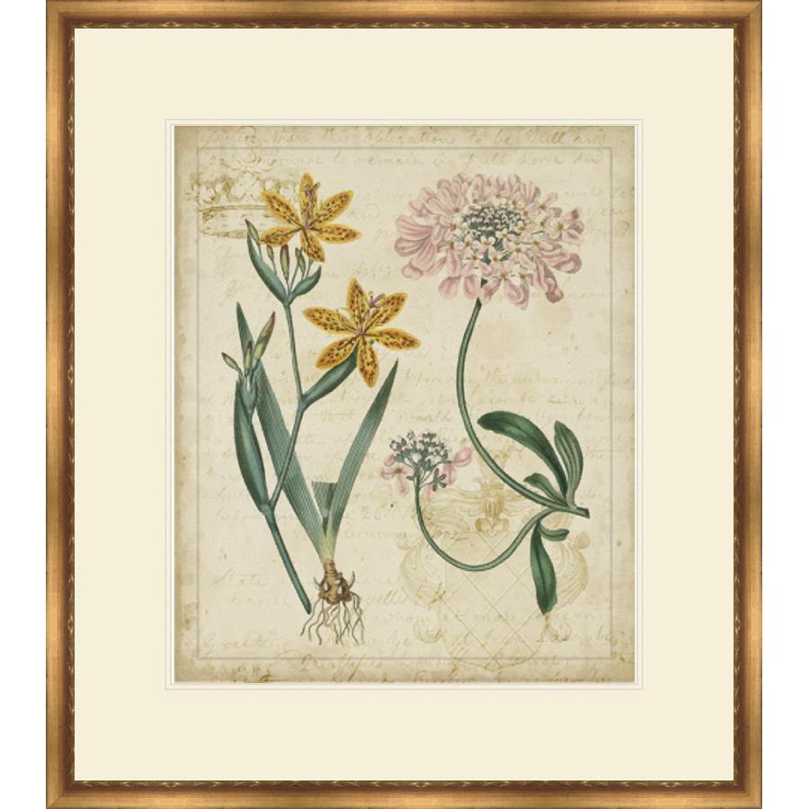 FG4095P01 Giclée on Matte Paper, under Glass, framed in Frame#1565-10 (Traditional Gold)
Top Mat: Ivory
Bottom Mat: Ivory Finished Size: W 31.00 in x H 35.00 in