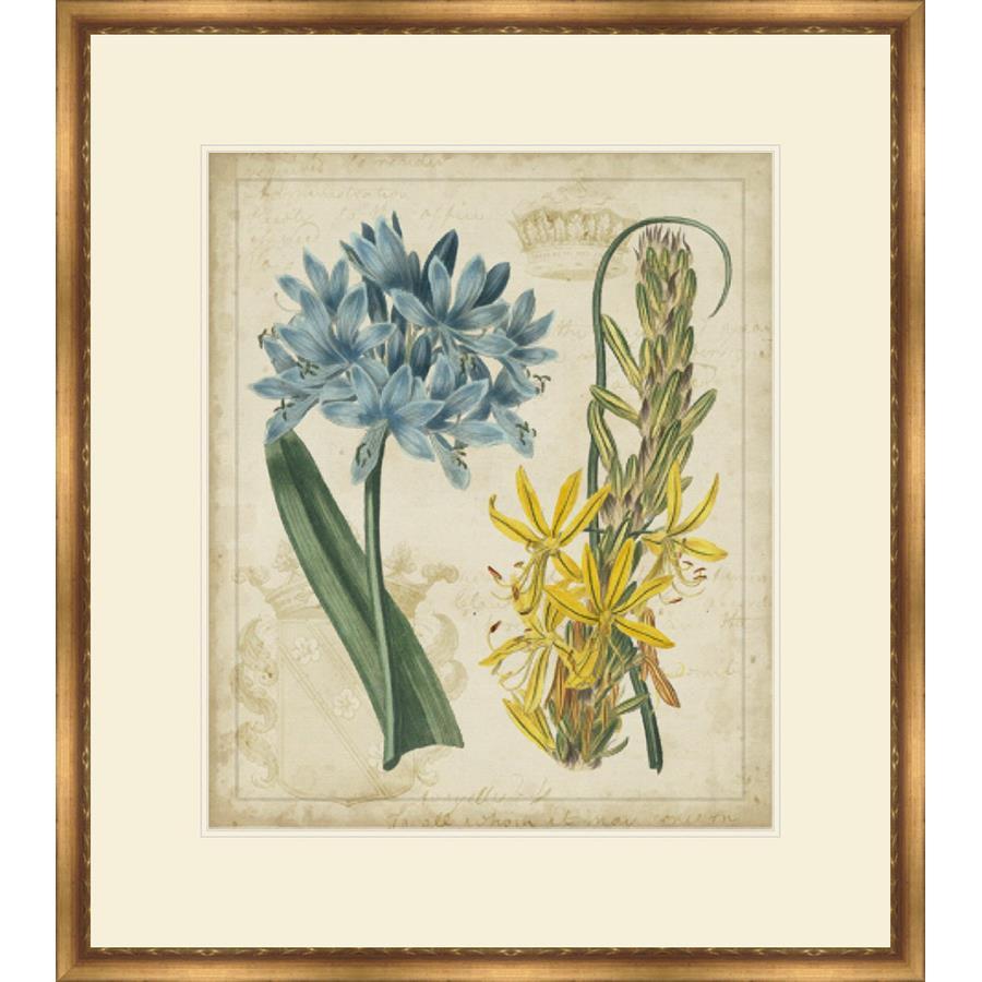 FG4095P02 Giclée on Matte Paper, under Glass, framed in Frame#1565-10 (Traditional Gold)
Top Mat: Ivory
Bottom Mat: Ivory Finished Size: W 31.00 in x H 35.00 in