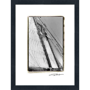 FG4130P01 Giclée on Matte Paper, under Glass, framed in Frame#8446 (Contemporary Black) Finished Size: W 12.25 in x H 17.63 in