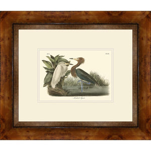 FG4140P03 Giclée on Matte Paper, under Glass, framed in Frame#1355-45 (Rustic Honey with Brown Lip)
Top Mat: Ivory
Bottom Mat: Ivory Finished Size: W 21.25 in x H 18.25 in
