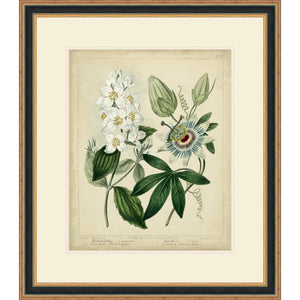 FG4152P02 Giclée on Matte Paper, under Glass, framed in Frame#6525 (Traditional Black & Gold)
Top Mat: Ivory
Bottom Mat: Ivory Finished Size: W 26.00 in x H 30.00 in