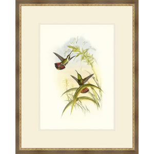 FG4166P01 Giclée on Matte Paper, under Glass, framed in Frame#1560-90 (Slope Brown with Ornate Gold Lip)
Top Mat: Ivory
Bottom Mat: Ivory Finished Size: W 26.00 in x H 32.50 in