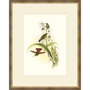 FG4166P02 Giclée on Matte Paper, under Glass, framed in Frame#1560-90 (Slope Brown with Ornate Gold Lip)
Top Mat: Ivory
Bottom Mat: Ivory Finished Size: W 26.00 in x H 32.50 in