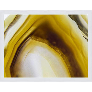 FG4206P01 Giclée on Matte Paper, under Glass, framed in Frame#7491 (Contemporary White) Finished Size: W 26.25 in x H 20.25 in